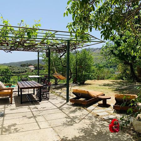Temenia House Villa Buitenkant foto
