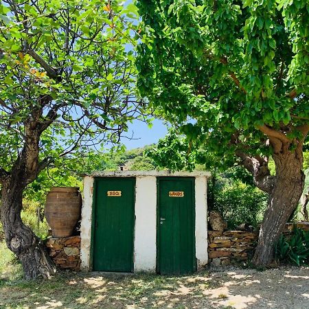 Temenia House Villa Buitenkant foto