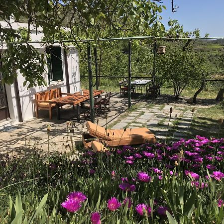 Temenia House Villa Buitenkant foto
