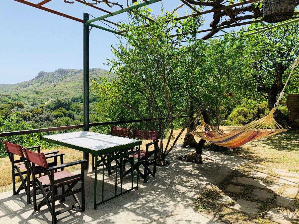 Temenia House Villa Buitenkant foto