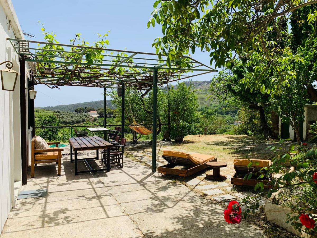 Temenia House Villa Buitenkant foto