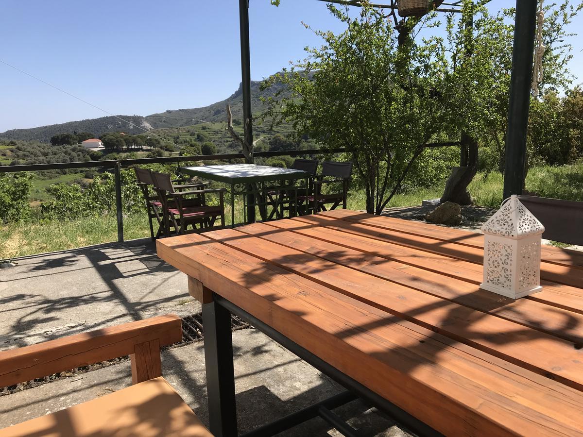 Temenia House Villa Buitenkant foto