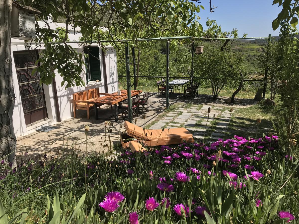 Temenia House Villa Buitenkant foto