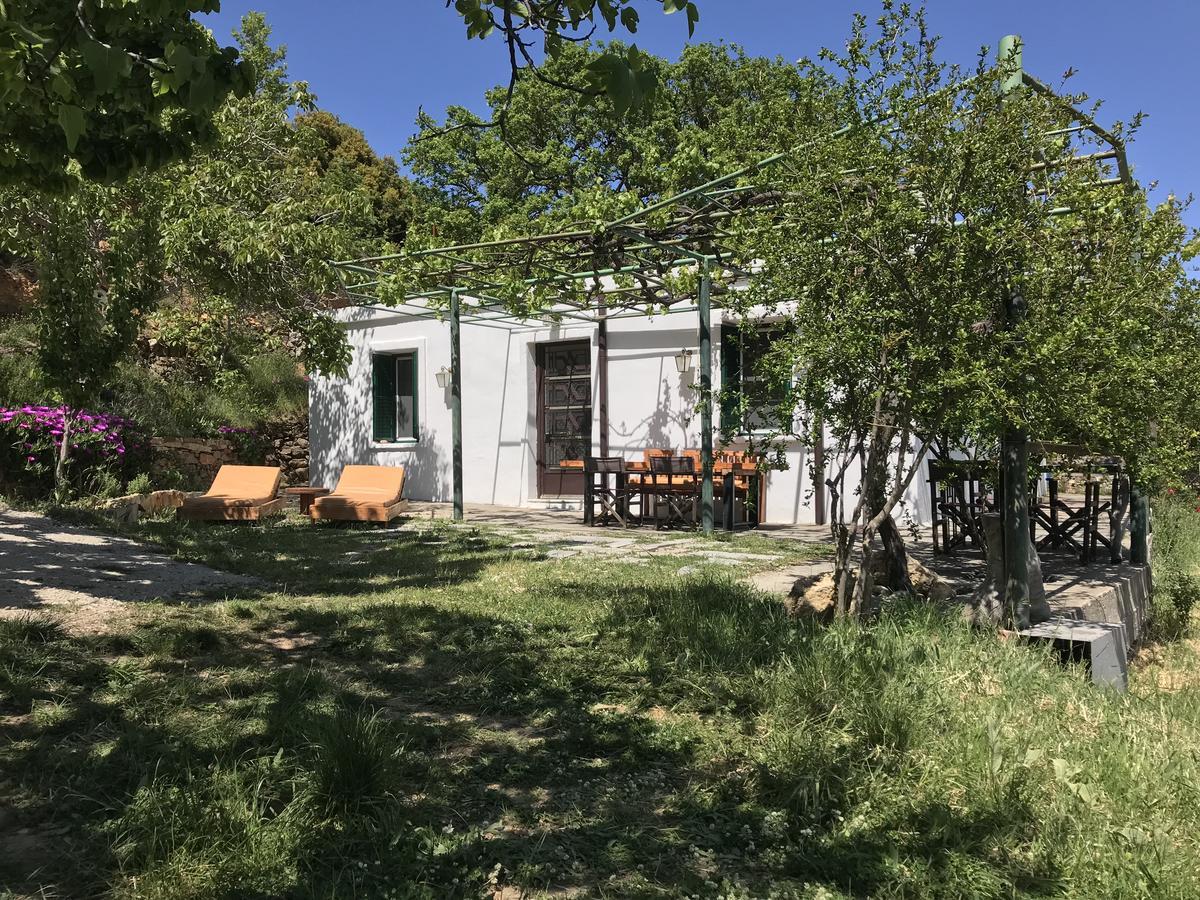 Temenia House Villa Buitenkant foto