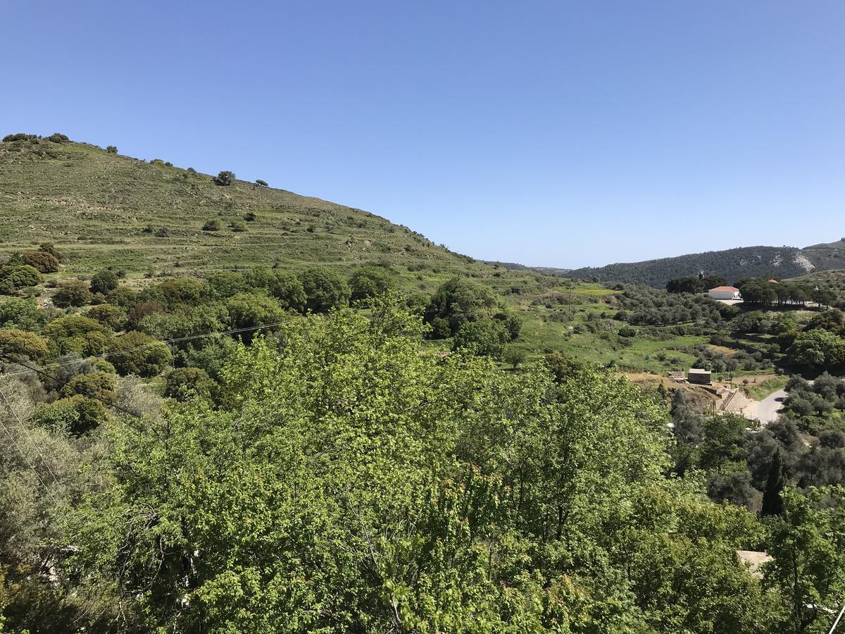 Temenia House Villa Buitenkant foto