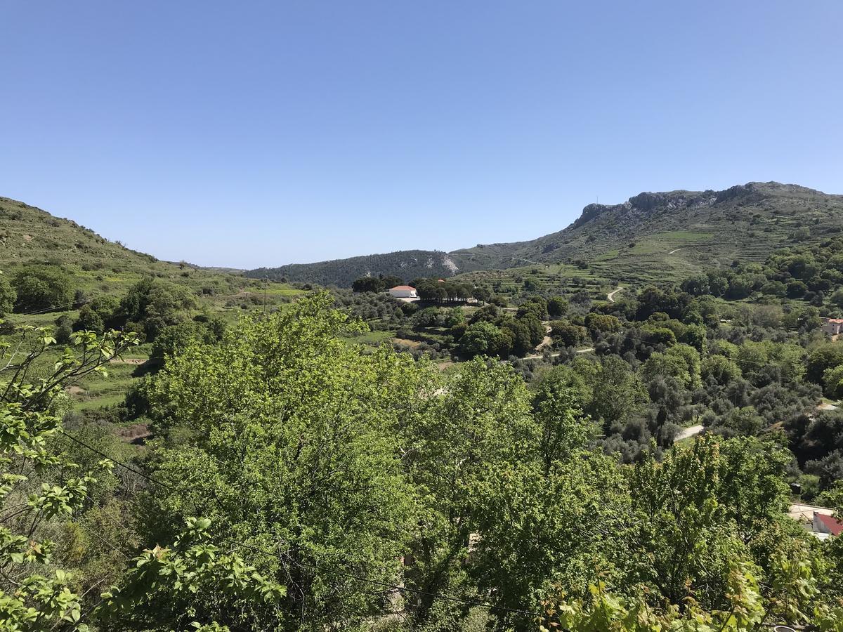 Temenia House Villa Buitenkant foto